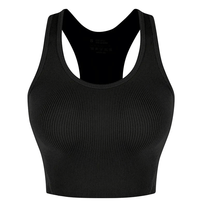 Crop Top Sports Bra
