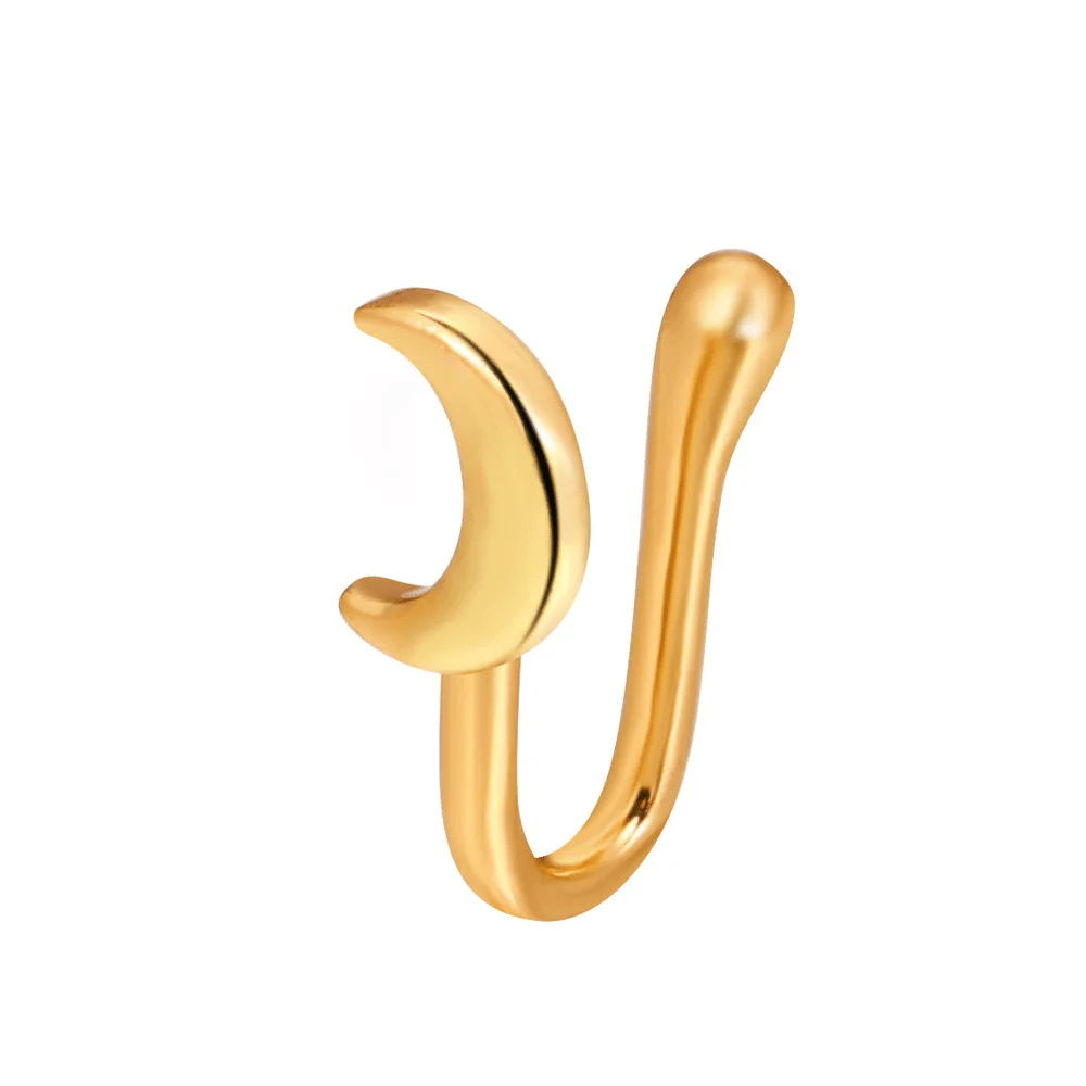 Fake Side Nose Rings (No Piercing Required)